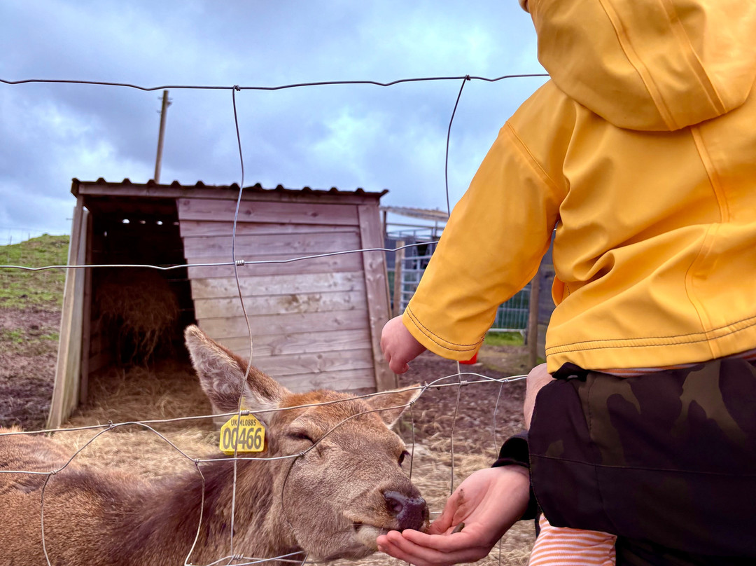 Melville mini farm park-Aberdour必去景点