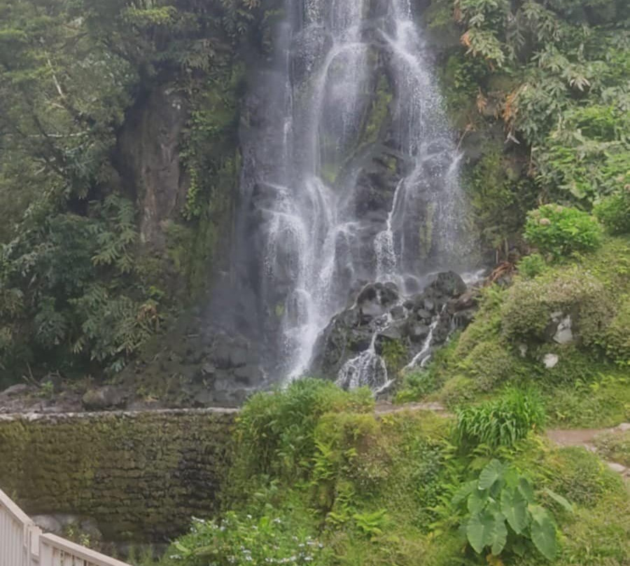 São Miguel: Experiência de Canyoning na Ribeira dos Caldeirões景点图片