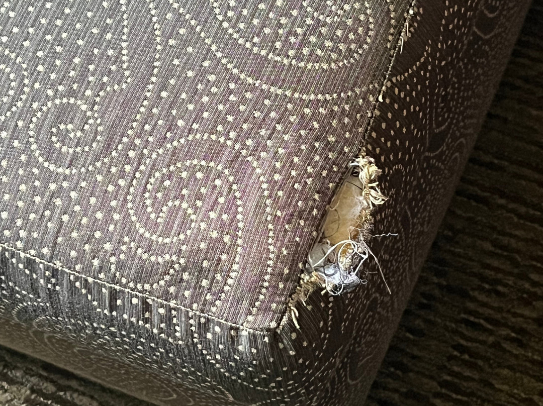 Staybridge Suites Washington D.C. - Greenbelt by IHG主图