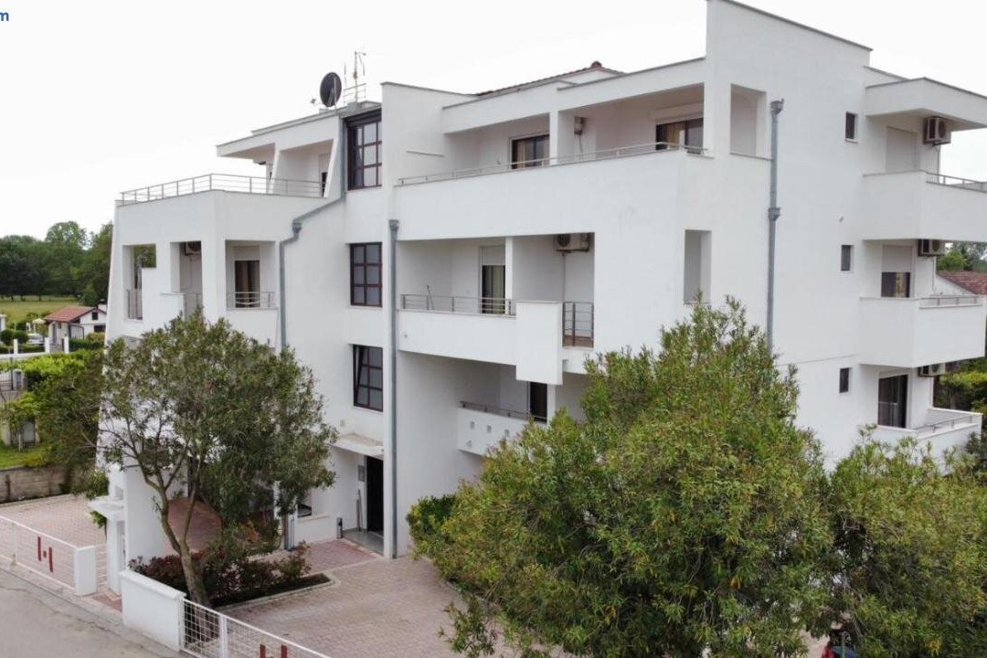 Buzuku House