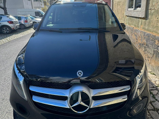 Galope Estival Transfers and Tours-Algarvia必去景点