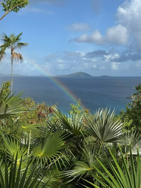 Lovango Resort + Beach Club主图