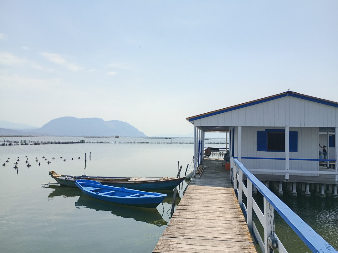 Messolonghi by Locals-Mesolongion必去景点