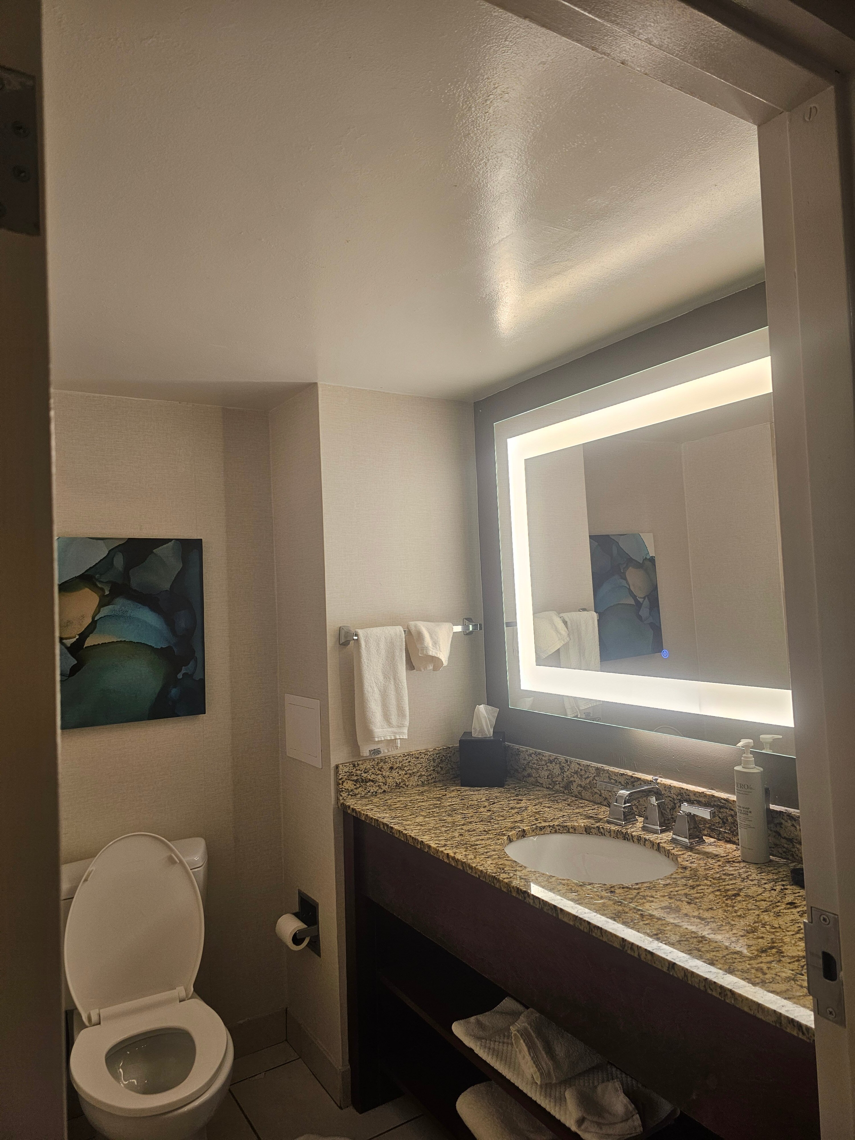 Embassy Suites by Hilton Cincinnati RiverCenter-浴室