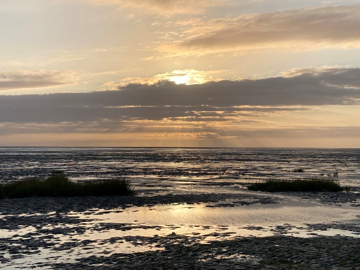 La Vieille Forge-官方