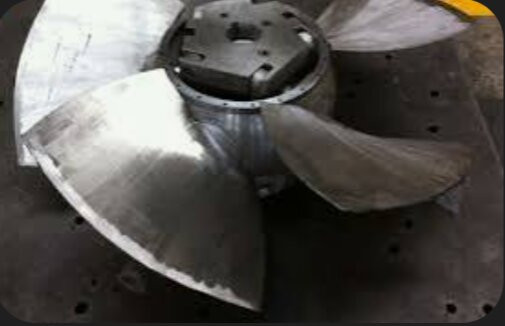 Mactaquac Provincial Park-Mactaquac必去景点