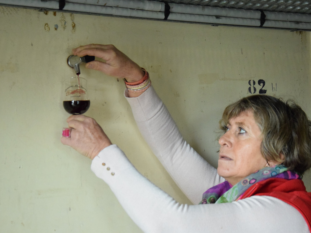 Domaine du Barvy