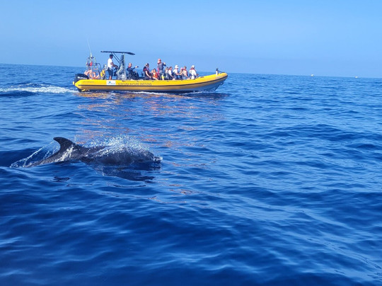 Ventura Nature Emotions-沙尔必去景点