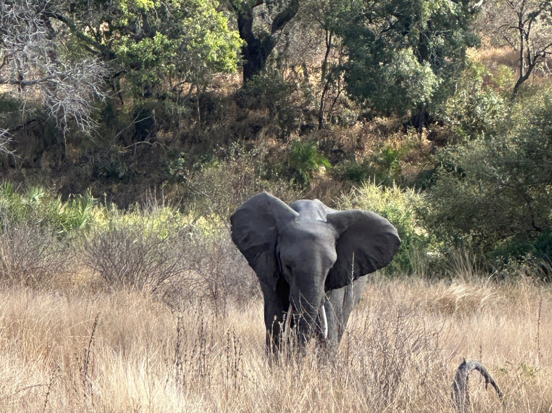 Buya Buya Travel & Tours-霍德斯普鲁特必去景点