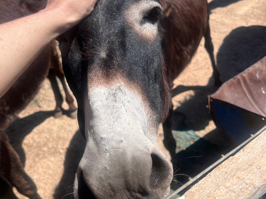 Bees House Rodos-Archipoli必去景点