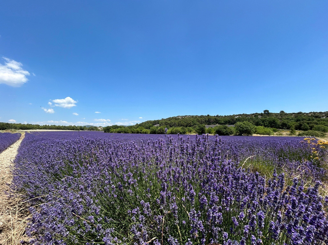 La Falaise de la Madeleine-Lioux必去景点