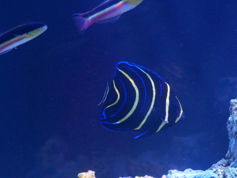 Caracol-恩塞纳达必去景点