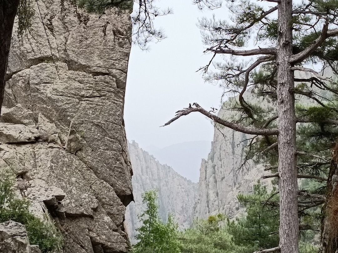 Inspire Alicante Wellbeing-Altea la Vella必去景点