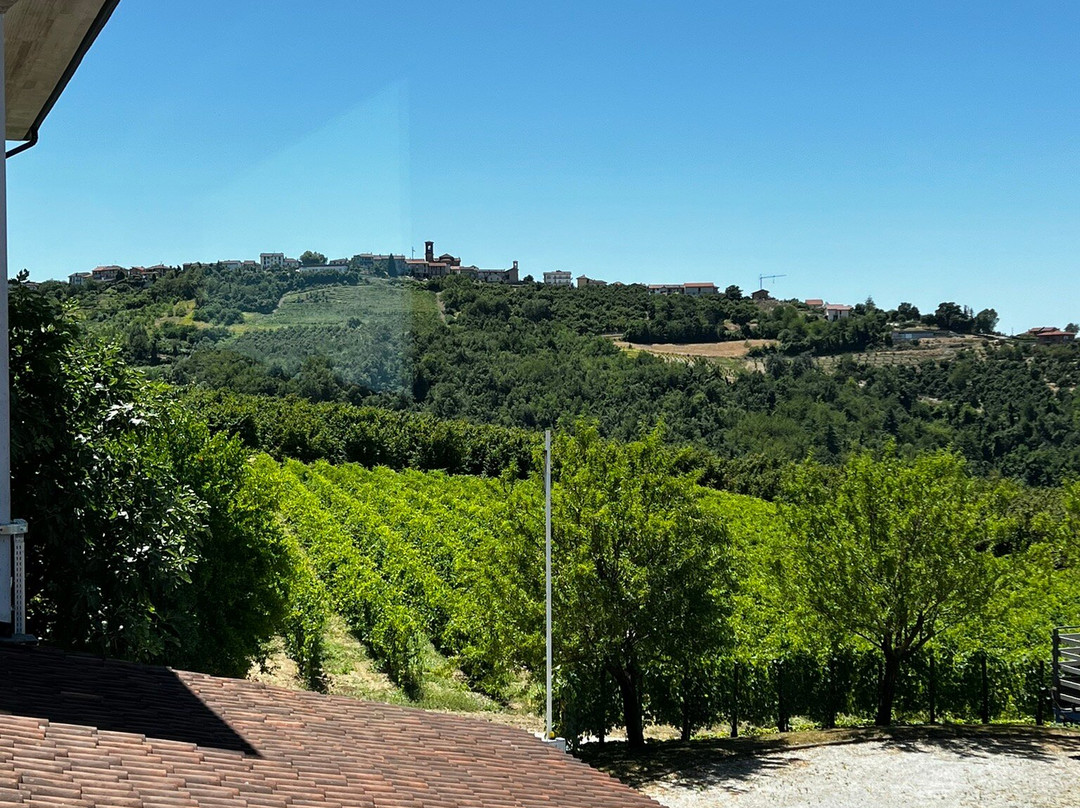 Azienda Agricola Mario Giribaldi-Rodello必去景点