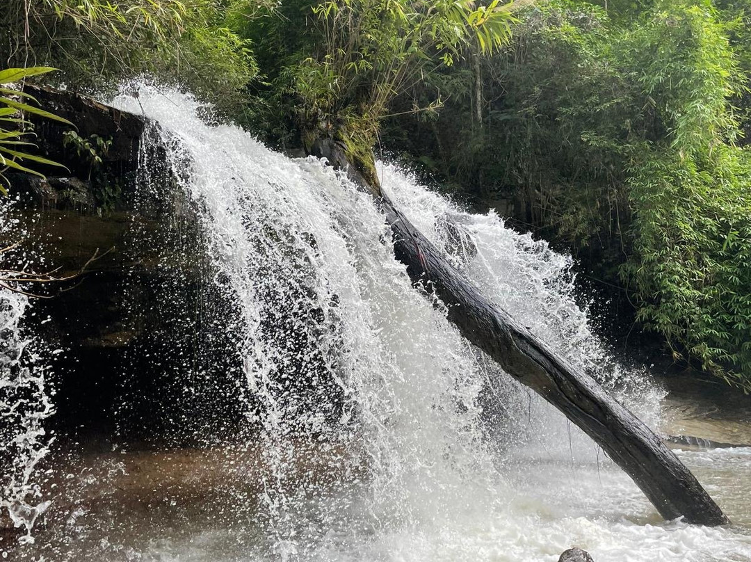 Chiangmai Elephant Sanctuary-清迈必去景点