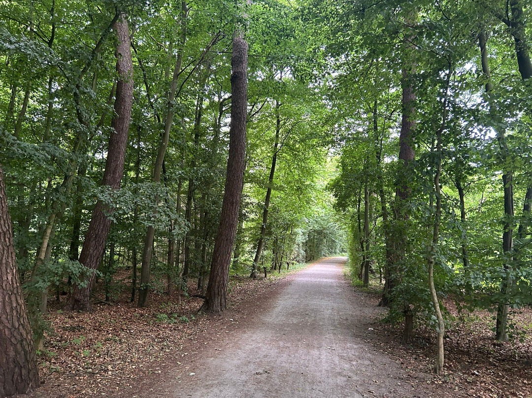 Sechs-Seen-Platte Duisburg-杜伊斯堡必去景点