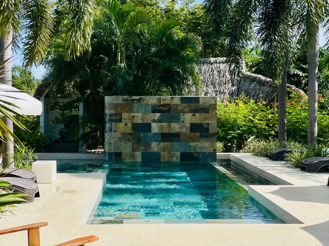 Les Voiles Blanches主图