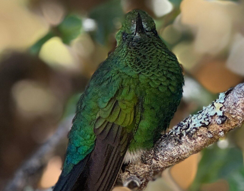 Inca Land Adventures-库斯科必去景点