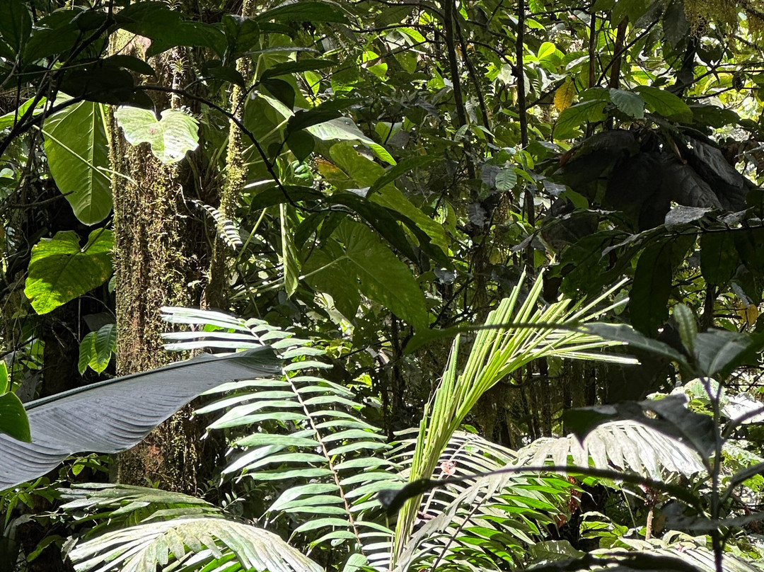 Rando A2Pas-Ducos必去景点