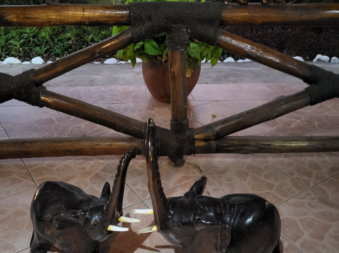 Manyara Lakeview Oasis主图