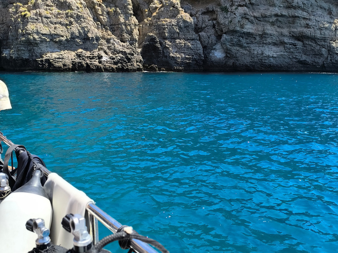 Seahorse Dive Center-瓦里必去景点