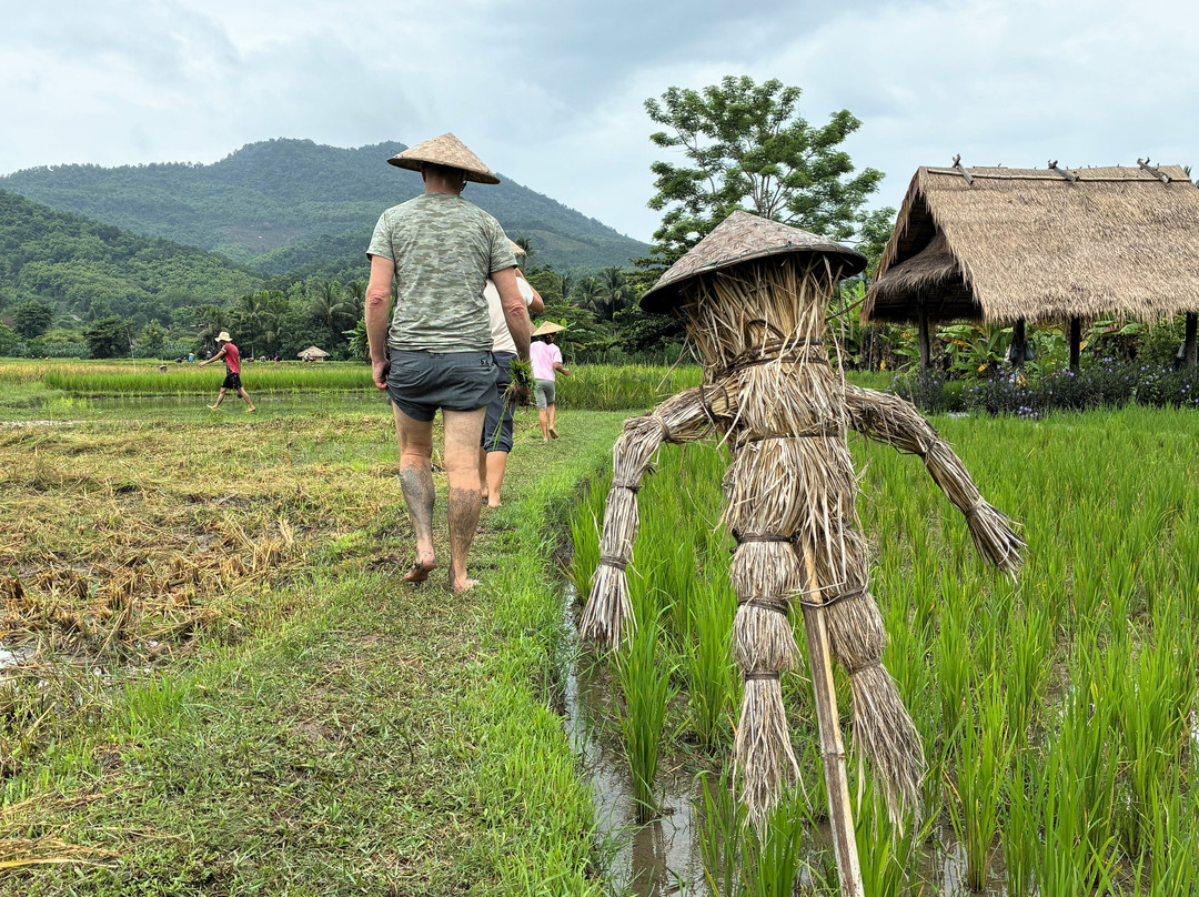 Living Land农场体验之旅-琅勃拉邦必去景点