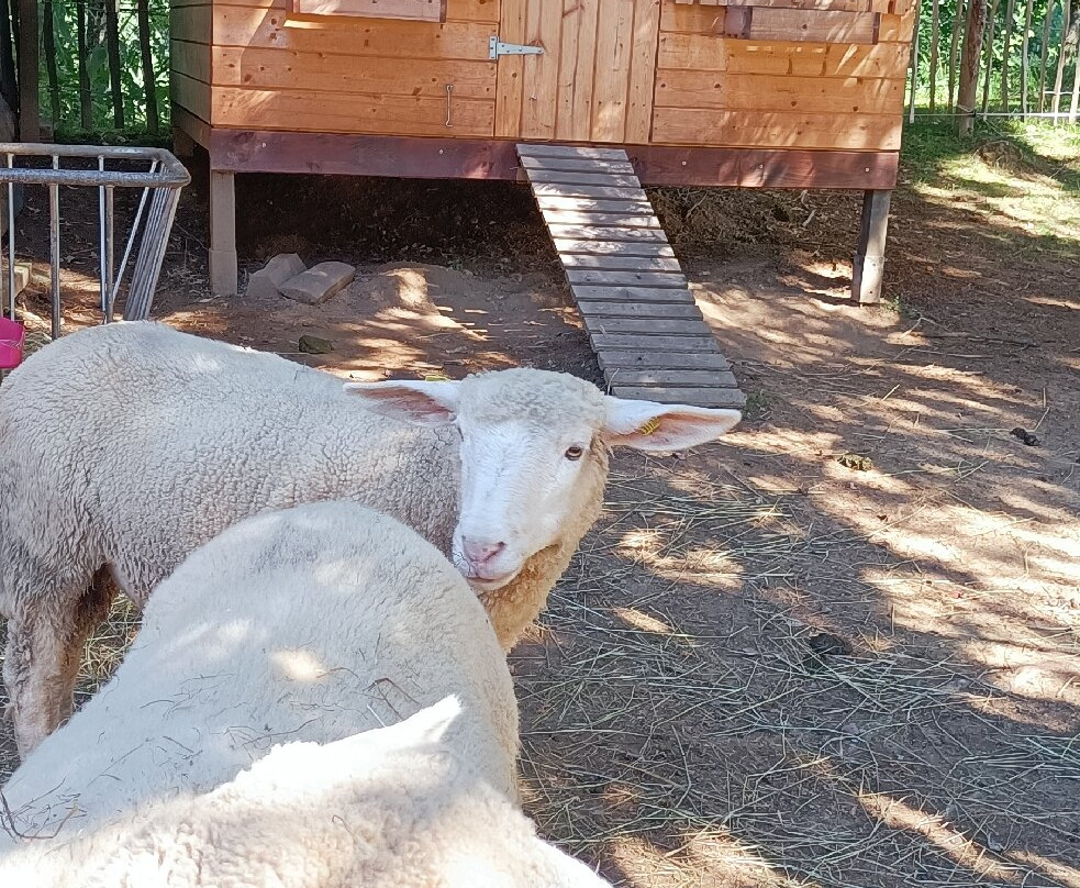 Pension Gasthof Arriach主图