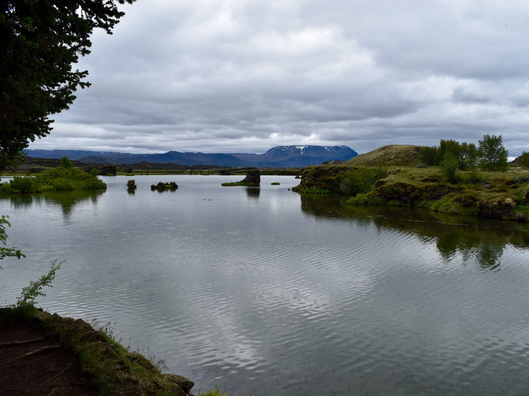 Hofdi-米湖必去景点