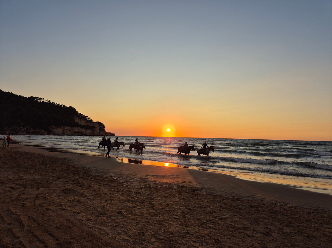 Hotel Corona Beach Peschici主图