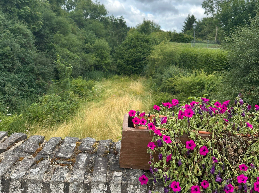 Burg Reifferscheid-Hellenthal必去景点