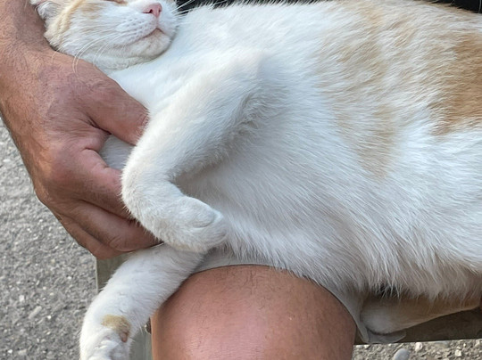 Pedalando Vai - Bike Rentals-明乔河畔瓦莱焦必去景点