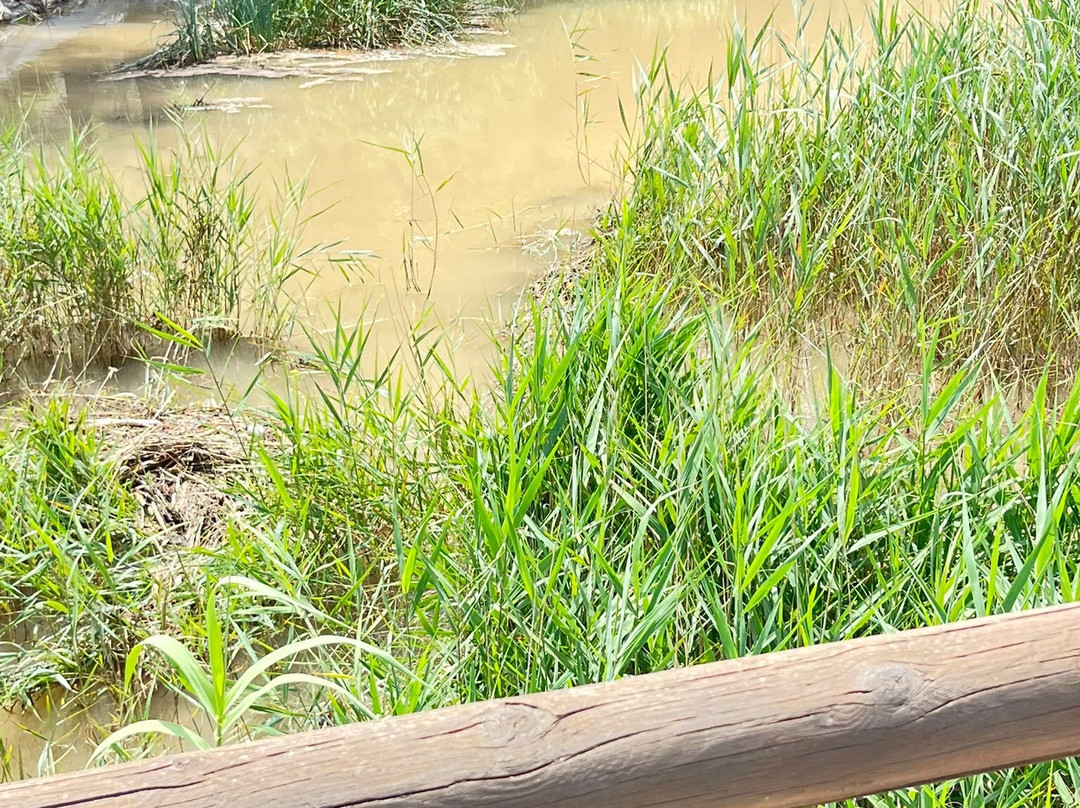Fuente de los Banos de Montanejos-蒙塔尼约斯必去景点