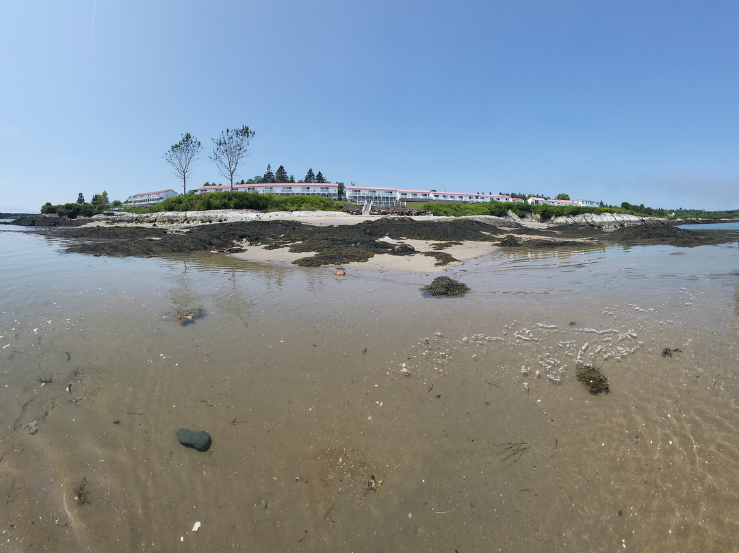 Clipper Shipp Beach Motel主图