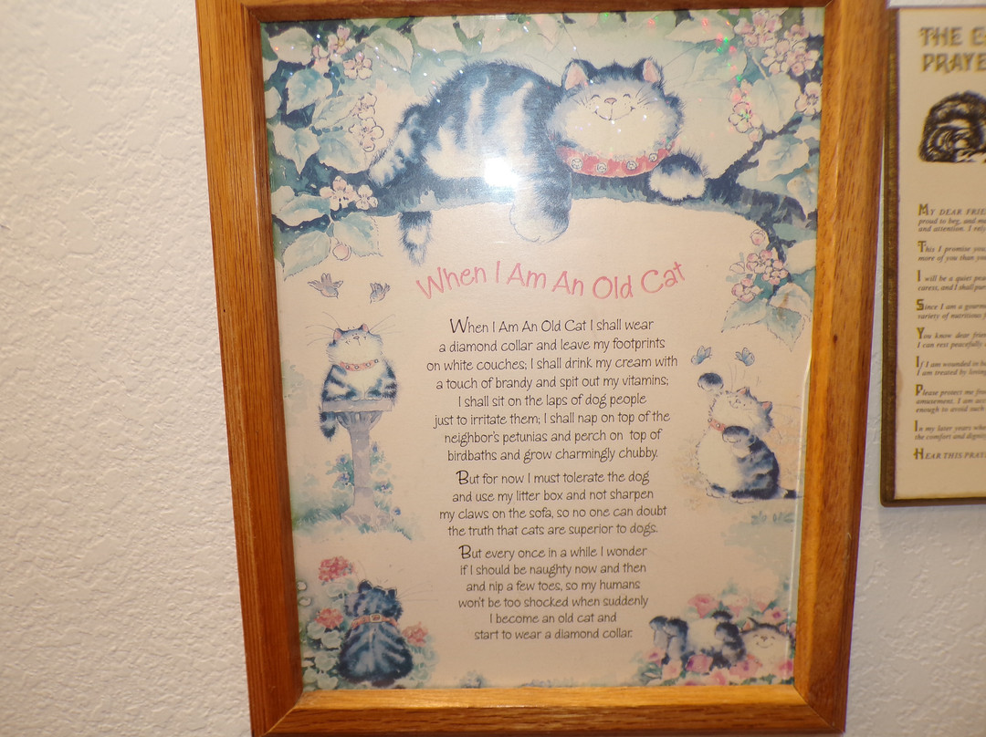 The American Museum of the House Cat-Sylva必去景点