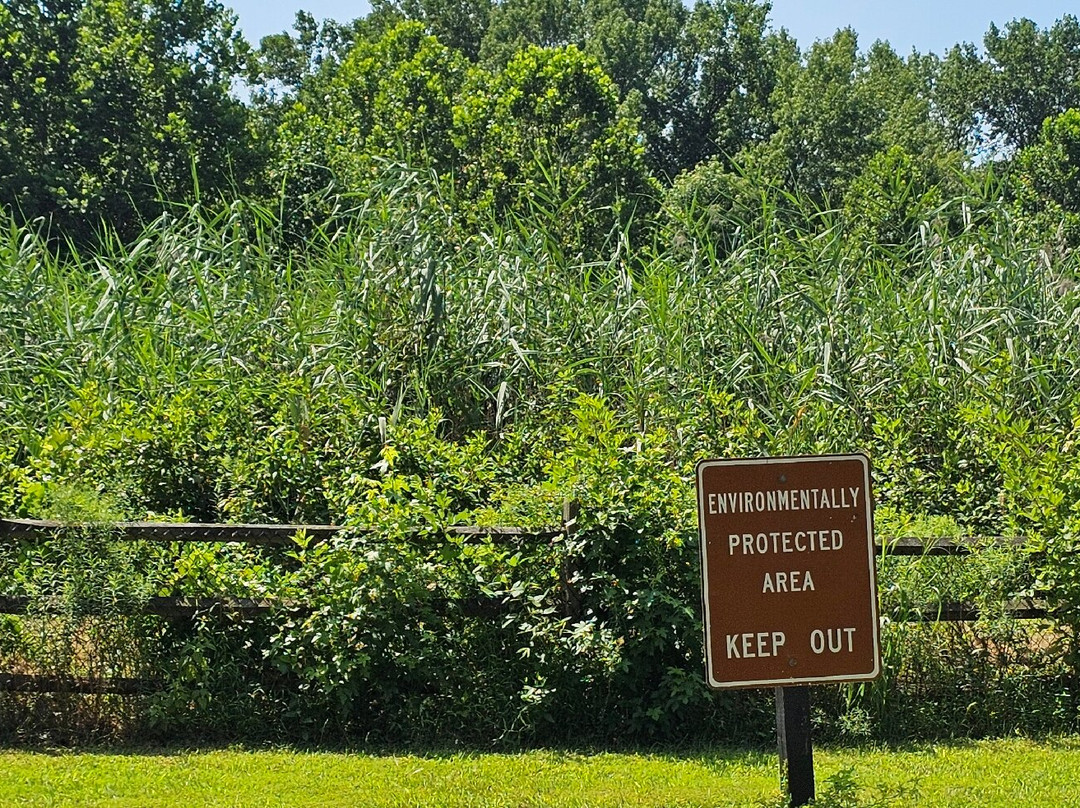 Elk River Park-埃尔克顿必去景点