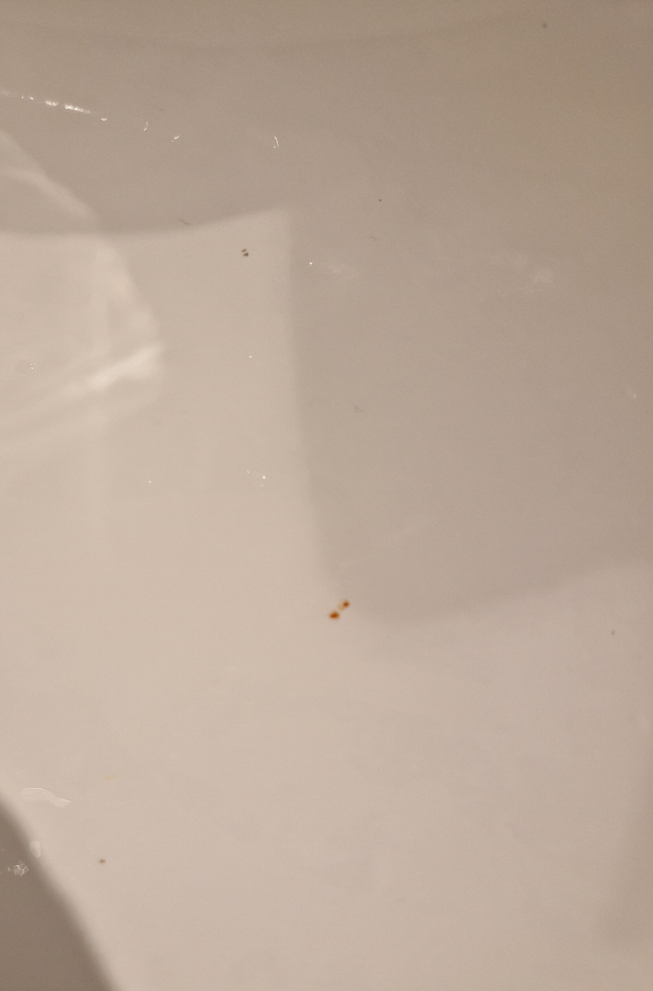 斯堪迪克维多利亚酒店-官方