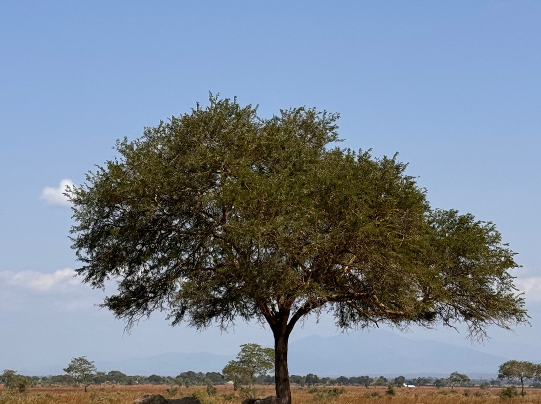 Mchaka Mchaka Tours-Mloka必去景点