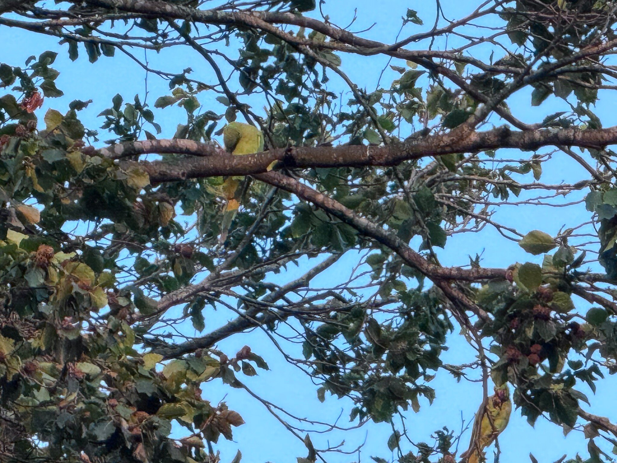 The Firs Bed & Breakfast-官方