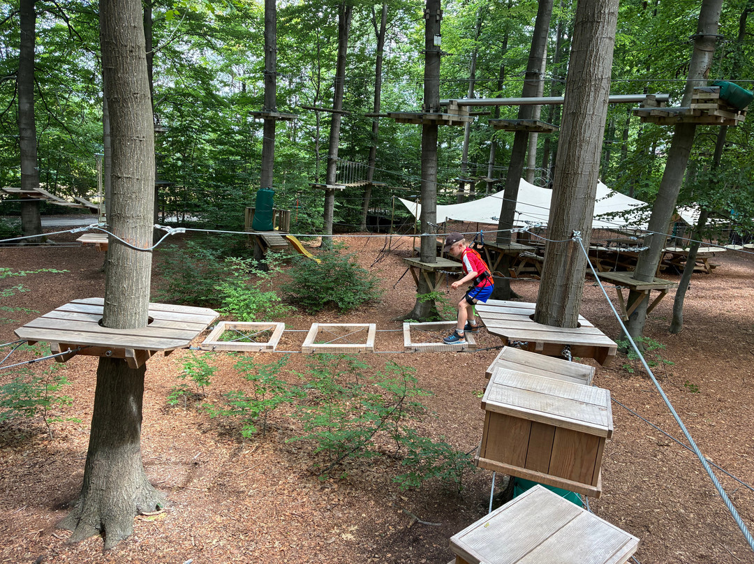 SpaForest-斯帕必去景点