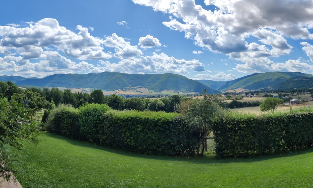 Il Casale degli Amici主图