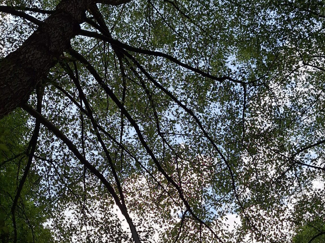 Big Art & Garden / Beelden In Gees-Gees必去景点