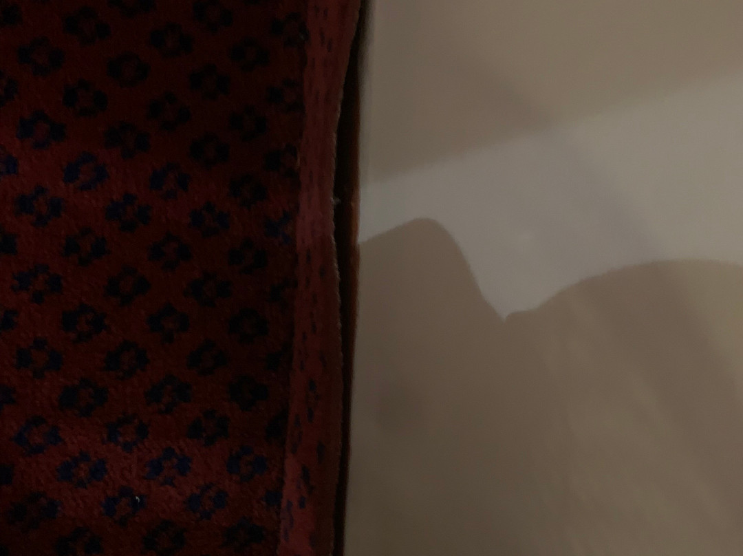 北斯蒂夫尼奇戴斯酒店主图