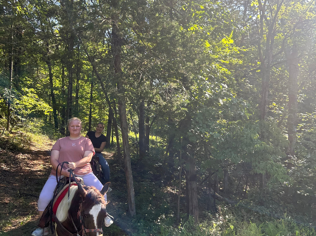 Bear Creek Trail Rides and Stable-Walnut Shade必去景点