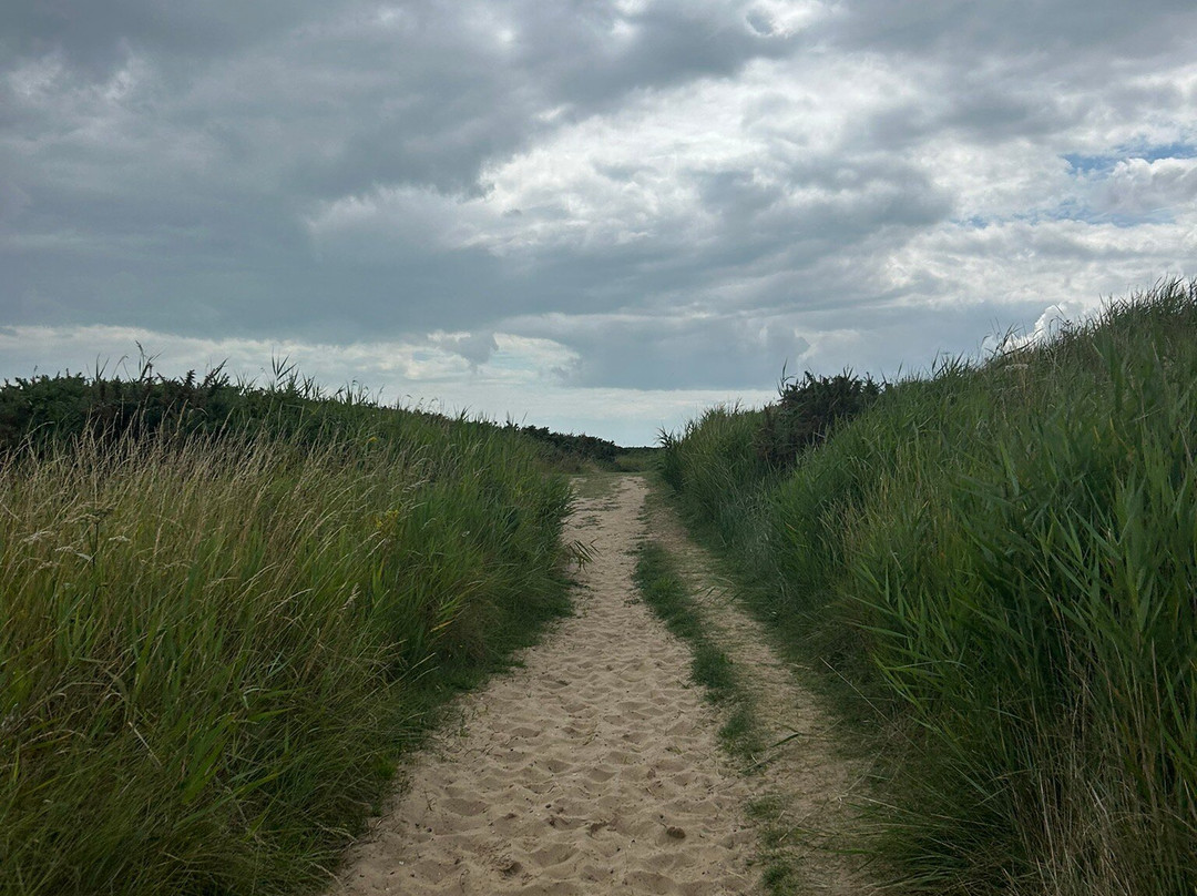 RSPB Minsmere-Westleton必去景点