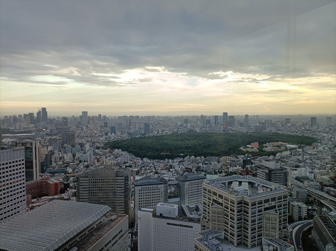 东京都政府办公楼-Nishishinjuku必去景点