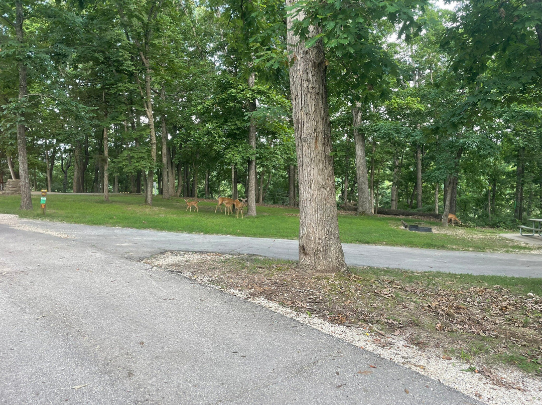 Lake of the Ozarks State Park-Kaiser必去景点