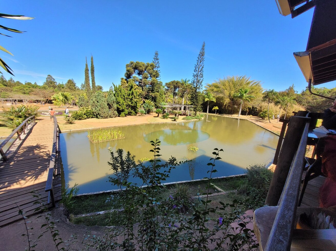 Jardim Botânico de Brasília-巴西利亚必去景点