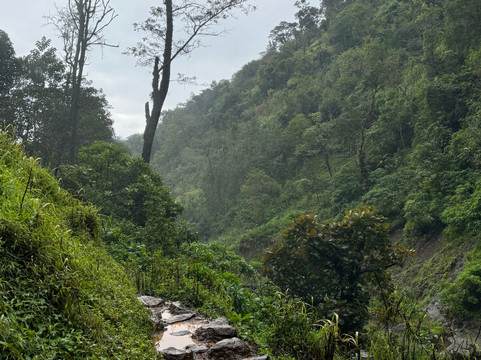 Zanzi Trekking and Safaris Limited-阿鲁沙必去景点