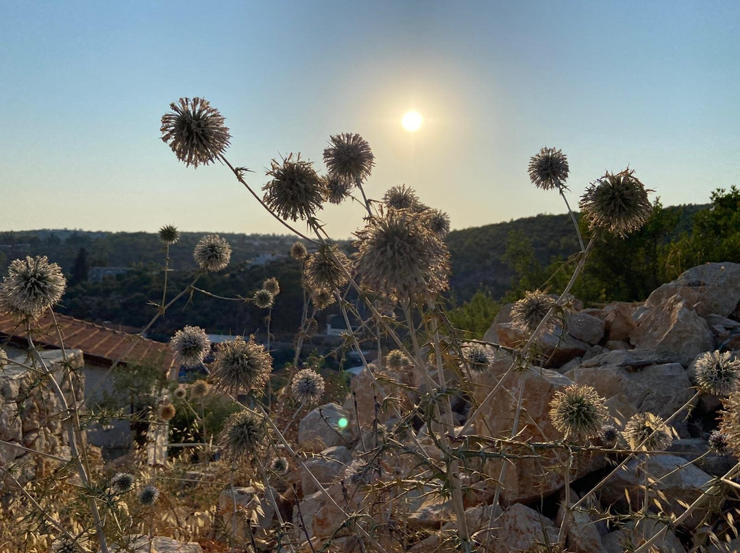 Xanthos Boutique Hotel主图