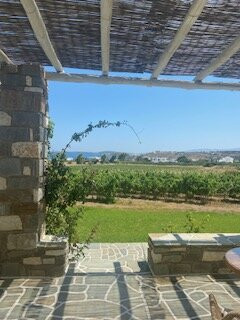 Agrabeli Studios & Apartments主图